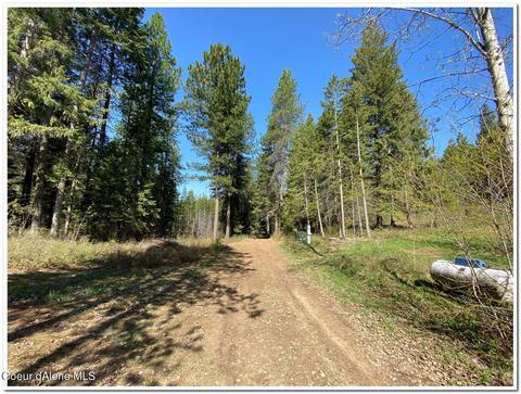 1175 Dusty Ln, Naples, ID 83847 photo 34
