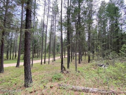1175 Dusty Ln, Naples, ID 83847 photo 2