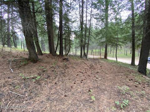 1175 Dusty Ln, Naples, ID 83847 photo 61