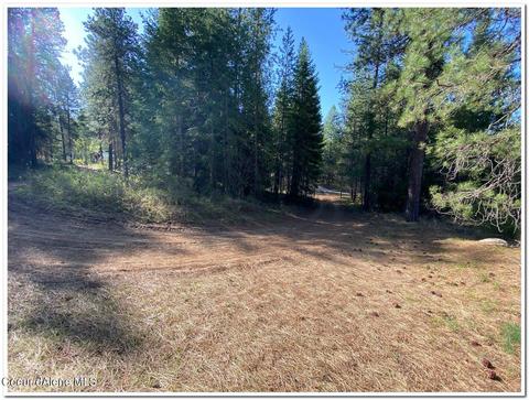 1175 Dusty Ln, Naples, ID 83847 photo 54