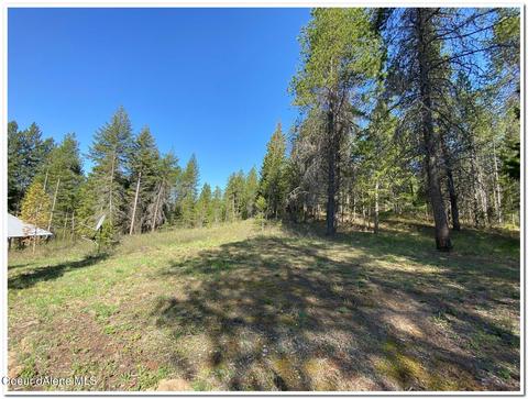 1175 Dusty Ln, Naples, ID 83847 photo 32