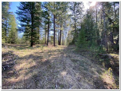 1175 Dusty Ln, Naples, ID 83847 photo 55