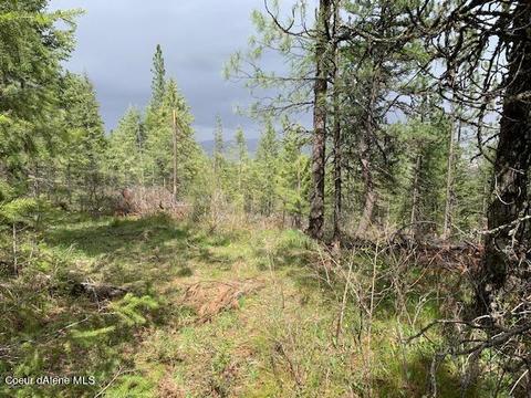 513 Shady Ln, De Smet, ID 83824