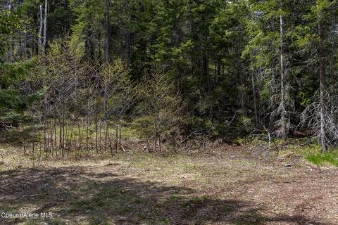 Nna Midas Dr, Sagle, ID 83860 photo 18