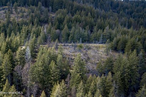Nna Midas Dr, Sagle, ID 83860 photo 13