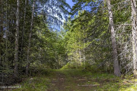 Nna Midas Dr, Sagle, ID 83860 photo 16