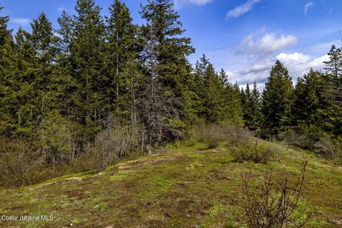 Nna Midas Dr, Sagle, ID 83860 photo 10