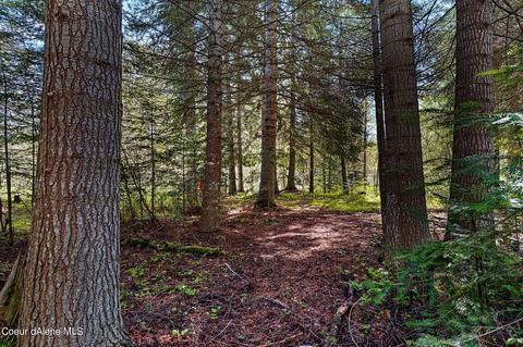 14987 E Bunco Rd, Athol, ID 83801 photo 23