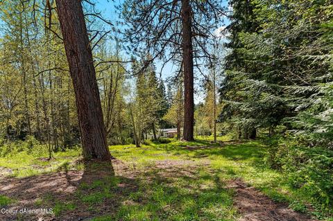 14987 E Bunco Rd, Athol, ID 83801 photo 24