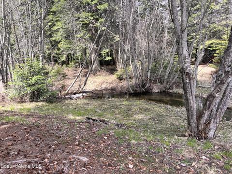 14987 E Bunco Rd, Athol, ID 83801 photo 38
