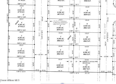 4046 N May Ella Loop, Post Falls, ID 83854 photo 4