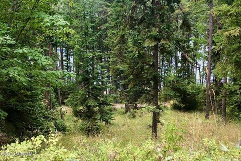 139 E Beltane Pl, Sandpoint, ID 83864 photo 44
