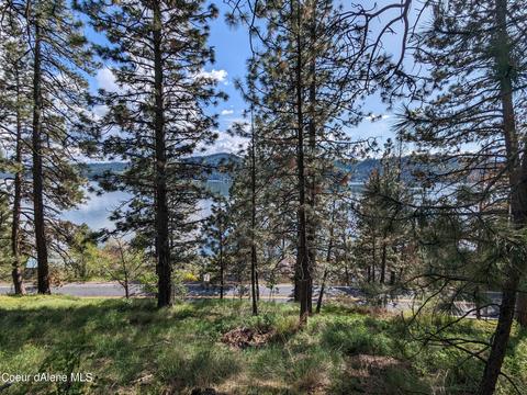 Nka S. Terrace Drive, Harrison, ID 83833