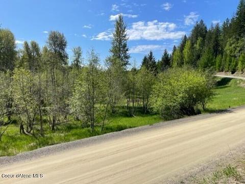700 Shepherds Ln, Sandpoint, ID 83864 photo 6
