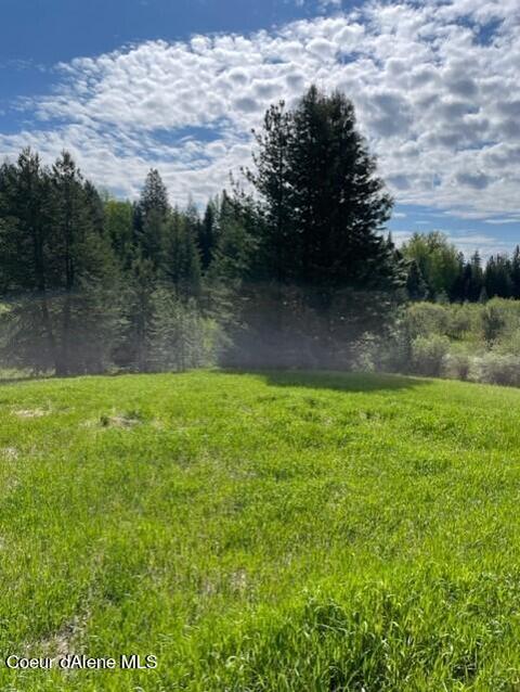 700 Shepherds Ln, Sandpoint, ID 83864 photo 4