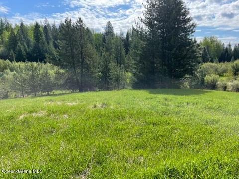 700 Shepherds Ln, Sandpoint, ID 83864 photo 3