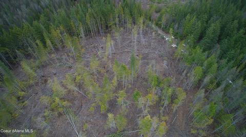 Nna Moonfire Rd, Sandpoint, ID 83864 photo 5