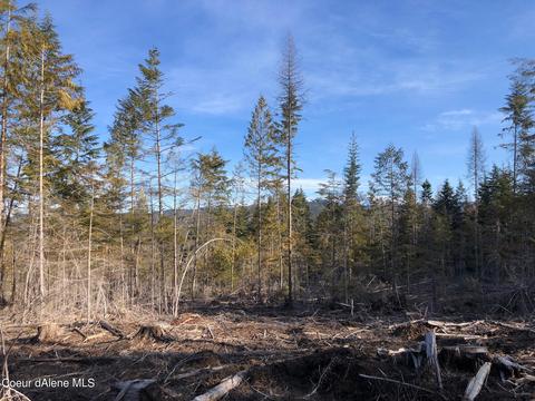 Nna Moonfire Rd, Sandpoint, ID 83864 photo 8