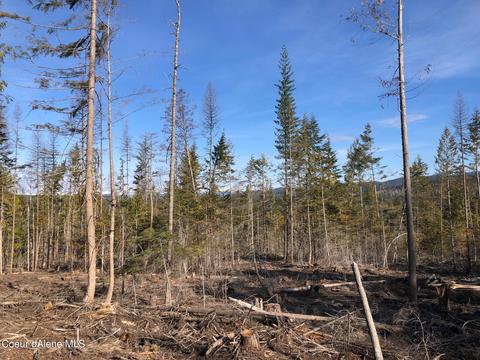 Nna Moonfire Rd, Sandpoint, ID 83864 photo 4