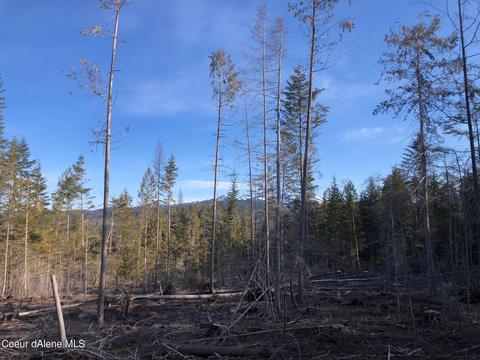Nna Moonfire Rd, Sandpoint, ID 83864 photo 2