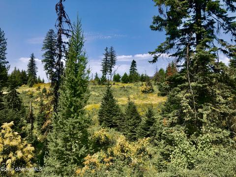 Tract 14 Hidden River Vista, Saint Maries, ID 83861