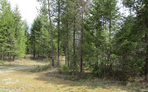 64 Pine Rd, Oldtown, ID 83822 photo 4