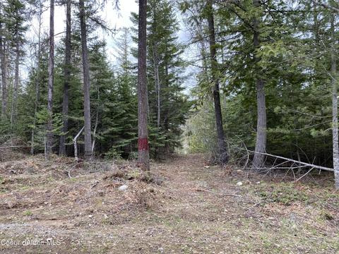 78 Osage St, Sagle, ID 83860 photo 7