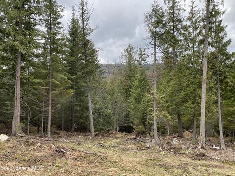 78 Osage St, Sagle, ID 83860 photo 12