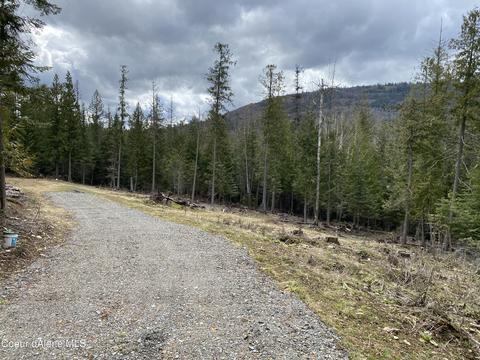 78 Osage St, Sagle, ID 83860 photo 4