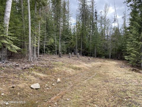 78 Osage St, Sagle, ID 83860 photo 13