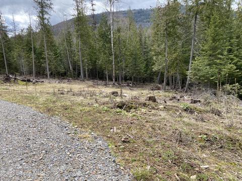 78 Osage St, Sagle, ID 83860 photo 17