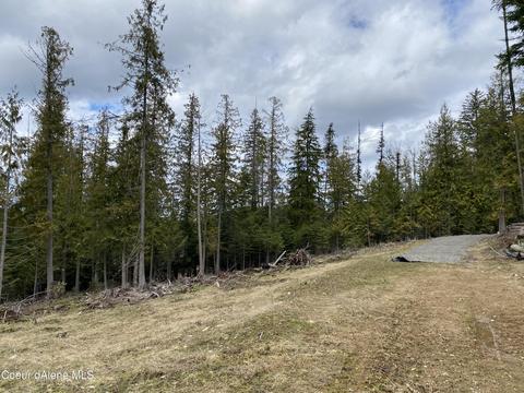 78 Osage St, Sagle, ID 83860 photo 11
