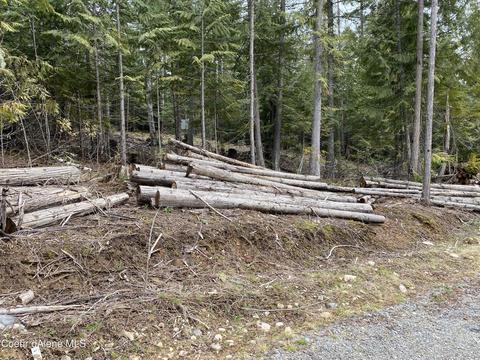 78 Osage St, Sagle, ID 83860 photo 15