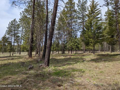 Lot 1 #2 Mohawk Dr, Athol, ID 83801