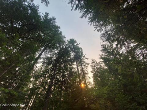 Nka Wandering Wolf Ridge Lot 3, Clark Fork, ID 83811