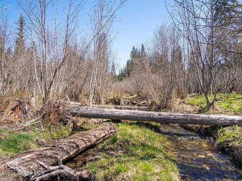 151 Eagle Creek Rd, Wallace, ID 83873 photo 10