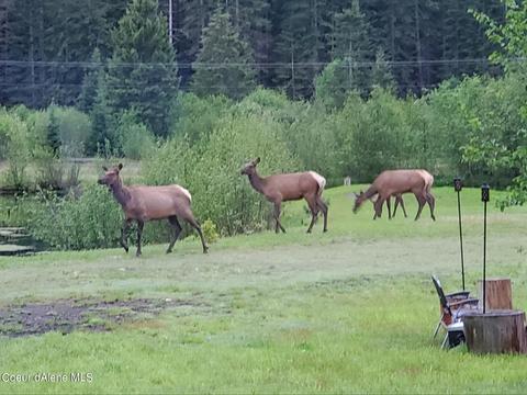 151 Eagle Creek Rd, Wallace, ID 83873 photo 30