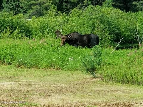151 Eagle Creek Rd, Wallace, ID 83873 photo 24