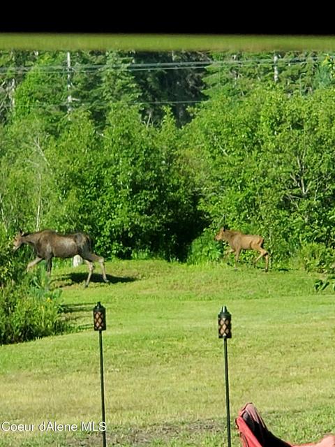 151 Eagle Creek Rd, Wallace, ID 83873 photo 29