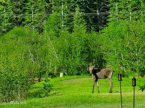 151 Eagle Creek Rd, Wallace, ID 83873 photo 32