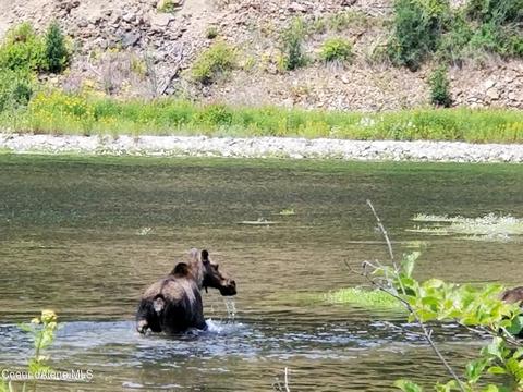 151 Eagle Creek Rd, Wallace, ID 83873 photo 28