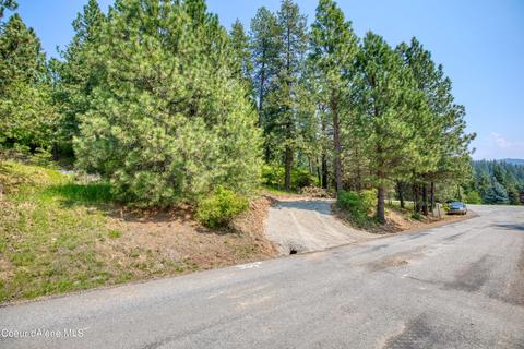 Nka E Sunset Shores Cir, Harrison, ID 83833