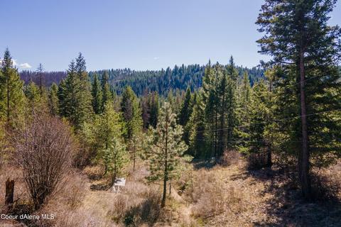 Nna Mountain Trail Ln, Newport, WA 99156