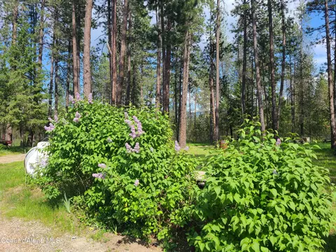 557 Estates Loop, Priest River, ID 83856 photo 4