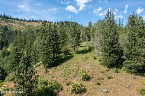 Nka Beaver Pond Trail Lot 5, Priest River, ID 83856