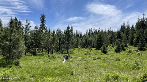 Nka Elderberry Dr Parcel 10, Orofino, ID 83544