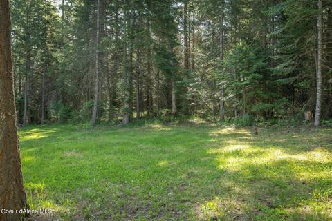 952 Bayview Rd, Athol, ID 83801 photo 30