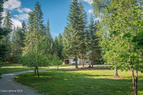 952 Bayview Rd, Athol, ID 83801 photo 39