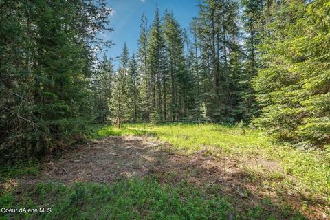 952 Bayview Rd, Athol, ID 83801 photo 24