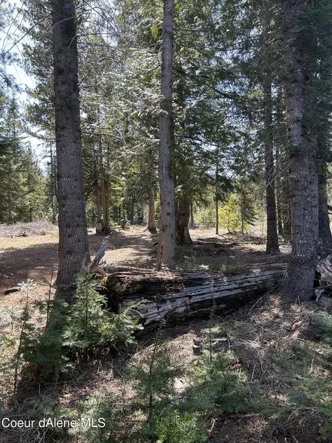 4654 Bear Paw Rd, Priest River, ID 83856